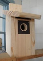 Pine Flat Roof Bluebird House